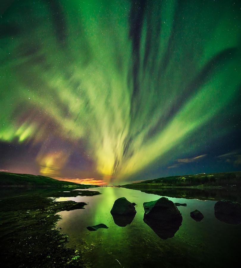 Fox Hotel Reykjavík Exteriér fotografie
