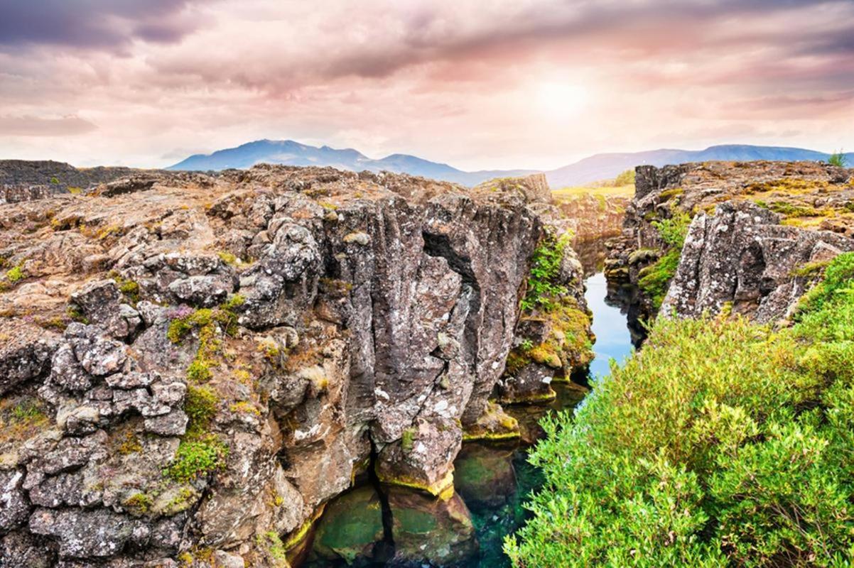Fox Hotel Reykjavík Exteriér fotografie