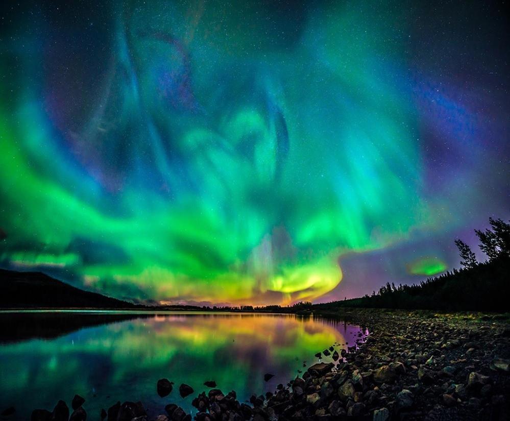 Fox Hotel Reykjavík Exteriér fotografie